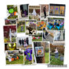 Halloween2020_4